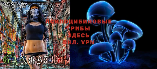 mdpv Арсеньев