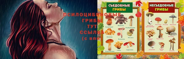 меф Аркадак